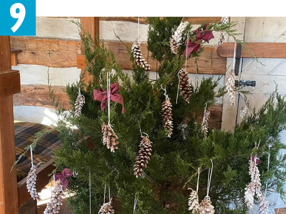Christmas tree with pinecones and ribbons